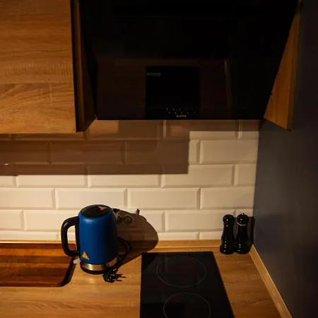 Apartment котляревського з садом Lviv