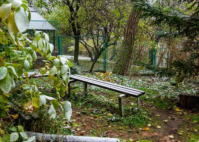 котляревського з садом Apartamento *